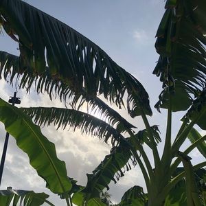 Meet your Posher, Suzy